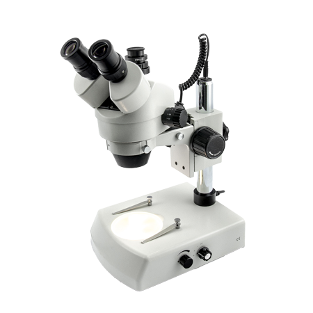 laboratoire
