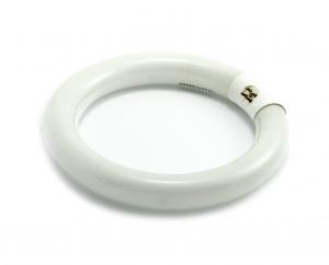 Lampe fluorescente ronde T9/22W/G10q/6000K 216mm