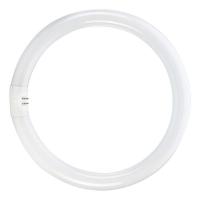 Lampe fluorescente ronde T5/22W 6500K 183mm