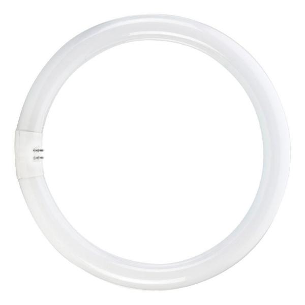 Lampe fluorescente ronde T5/22W 6500K 183mm