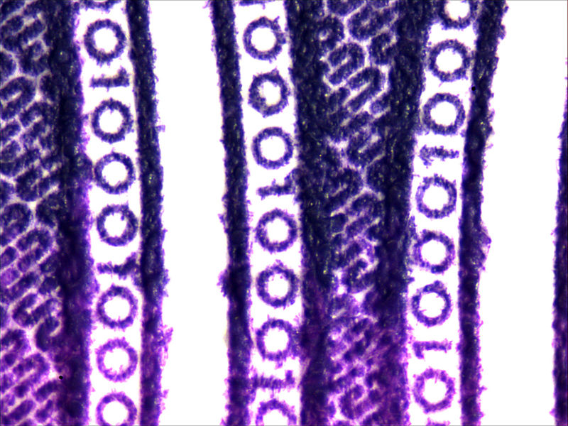 Fixations macro pour microscope électronique avec facteur 2.0×