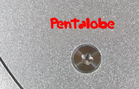 Pentalobe Apple iPhone type 2
